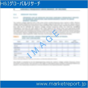 市場と産業調査レポートのイメージ